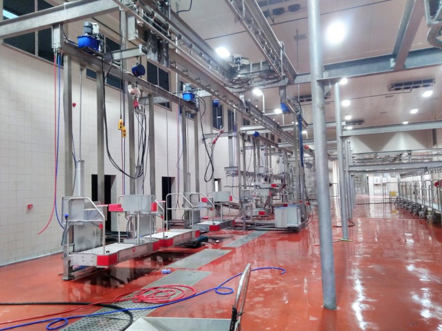 Automated Slaughter Process: Step-by-Step