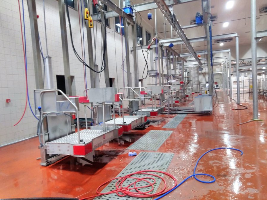 Kesimhane Verimliliğinin Finansal Katkısı